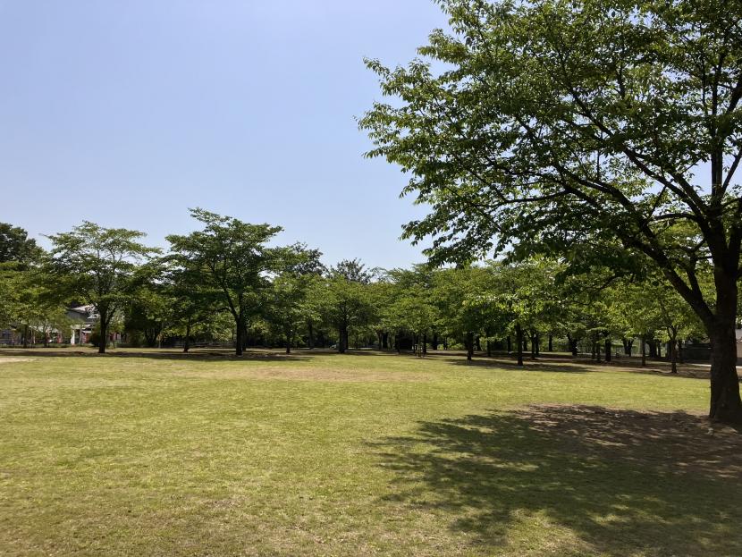 お花見広場