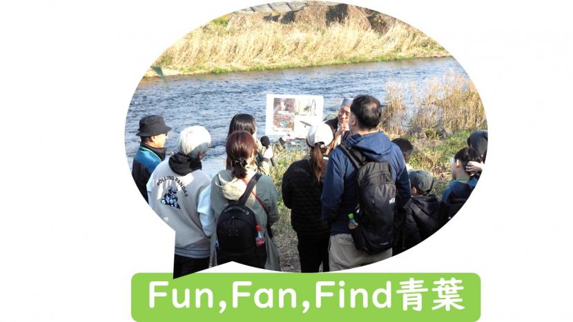 ファンファンファインドのページに移動