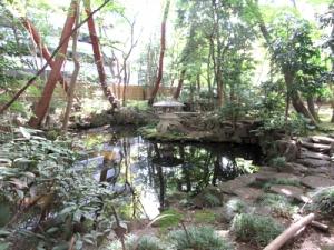 緑水庵庭園