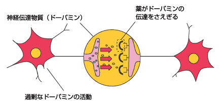 抗精神病薬がドーパミンの伝達を遮断する模式図