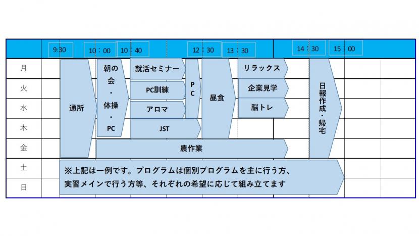 542週間プログラム
