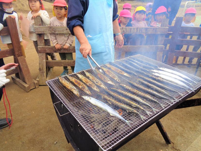 ドラム缶焼き台でさんまを焼く様子