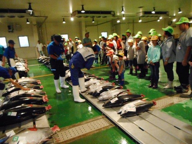 水産マグロ売場の見学