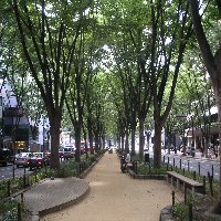 画像/平成16年の定禅寺通