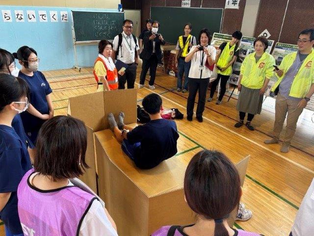 ダンボールベット