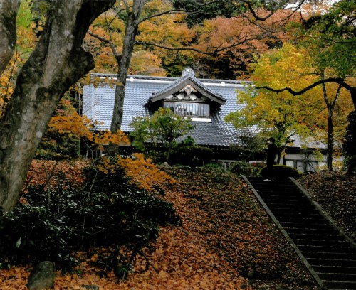 特別賞（まち協賞）　「史跡めぐり」