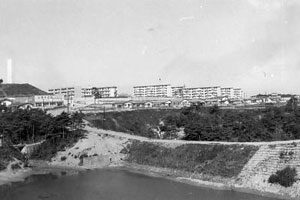 旭丘堤から見た黒松団地の写真