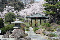 現在の山の寺洞雲寺境内