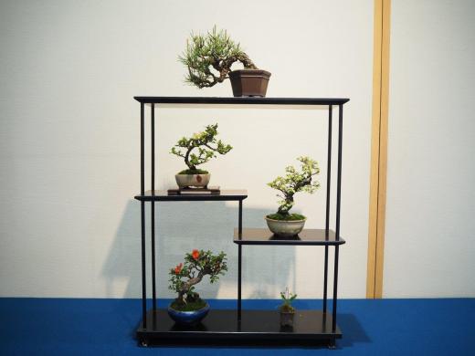 杜の文化展～盆栽・山野草・水石～