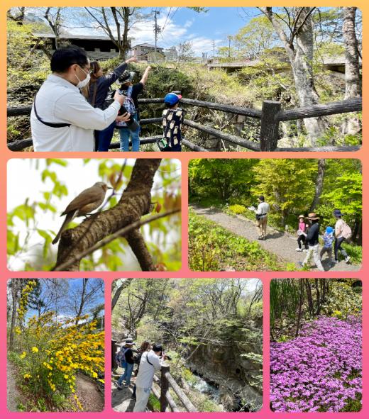 むかっちはかせと秋保の春のいきものタ探索！