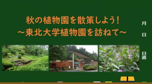 botanical-garden250927