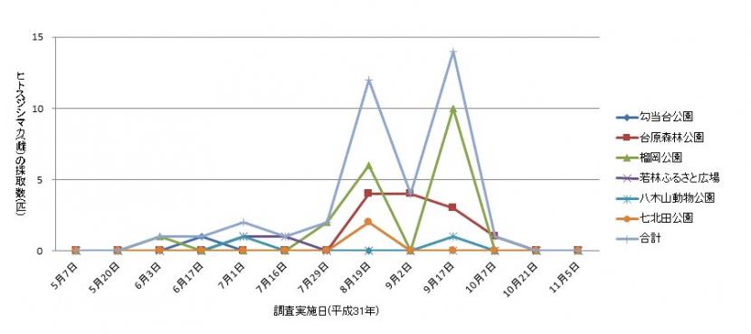 平成31年におけるヒトスジシマカ（雌）の採取数の推移