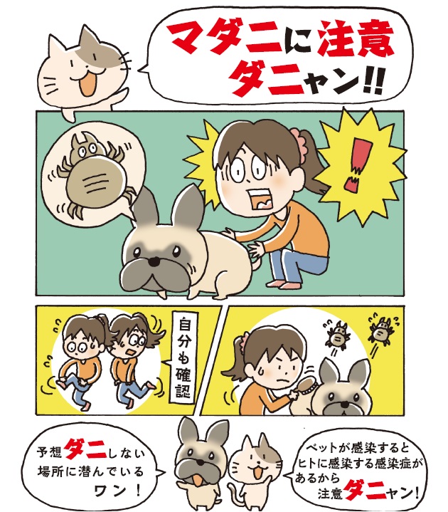 ペットに関するマダニ啓発画像