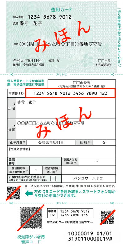 通知カード見本