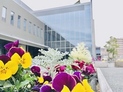 パンジーの花と一緒に写る宮城野区文化センターの写真