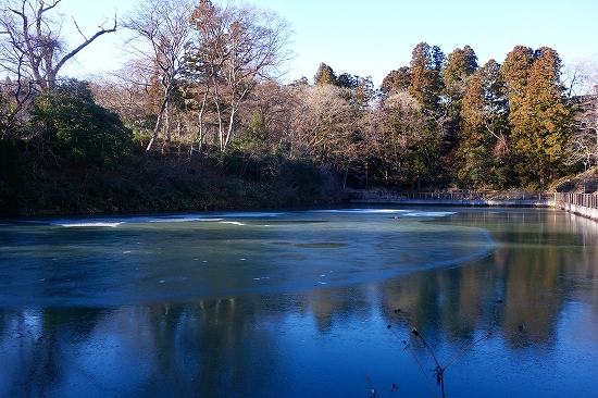 年明けの博物館界隈3