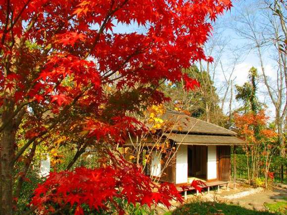 紅葉と残月亭