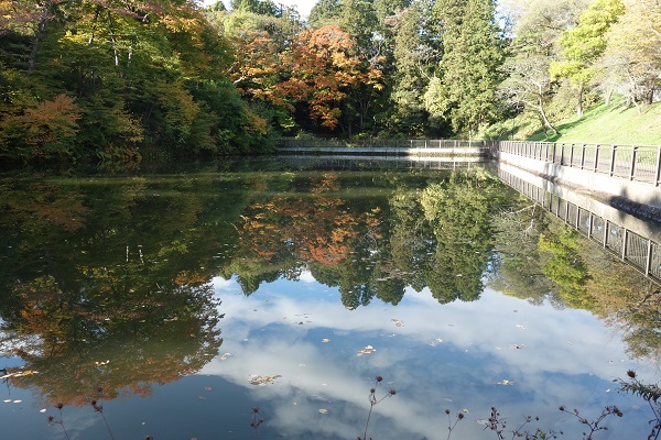 五色沼の水面に秋の景色が映っています