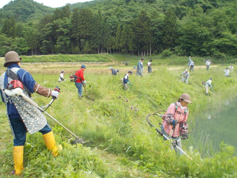 横町地区の共同草刈りの様子