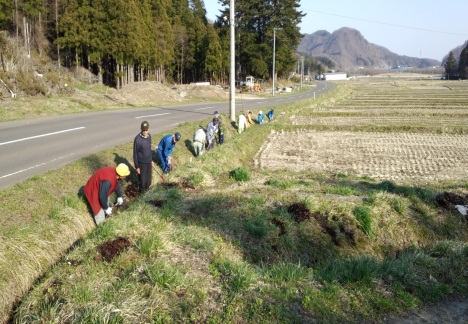 日向集落での水路清掃作業の様子