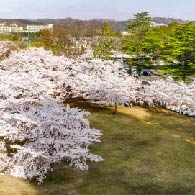 西公園