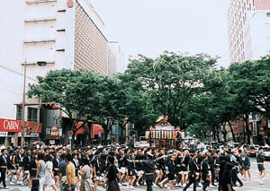 「三社まつり」の写真