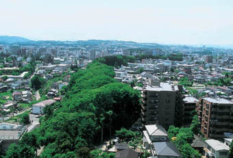 帯状に続く緑地の写真