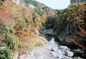 紅葉の頃の写真