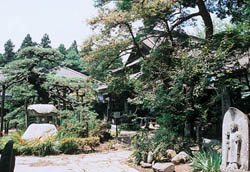仙岳院の笠松