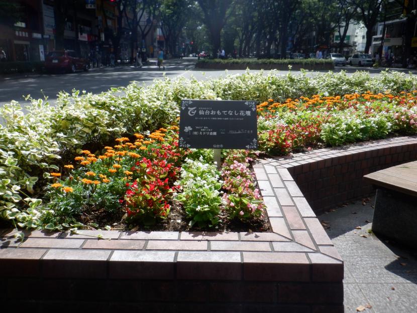 定禅寺通の花壇