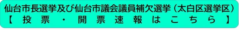投票・開票速報