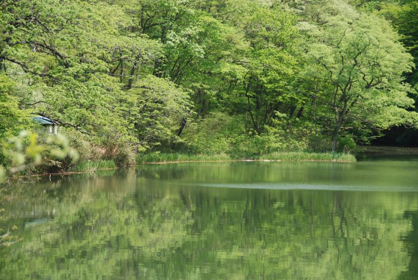 画像：青下水源地