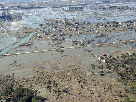 〈若林区井土地区〉