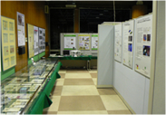 ＜写真/仙台MEMSショールーム＞