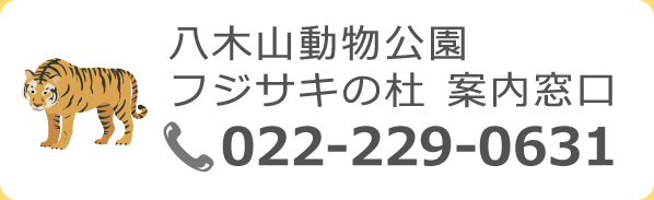 八木山動物公園フジサキの杜 案内窓口 電話：022-229-0631
