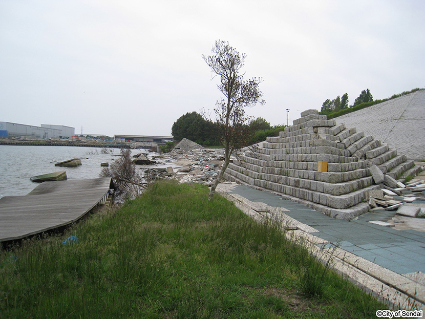 画像：仙台港中央公園