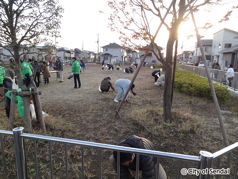 荒井南地区街区1号公園　初めての一斉清掃活動