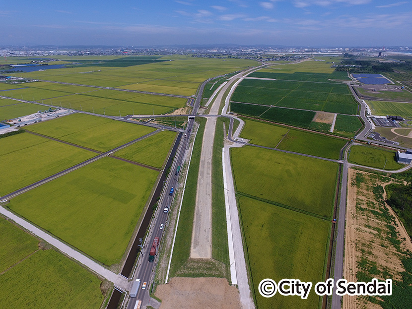 かさ上げ道路（荒浜大堀地区）、盛土工事完成