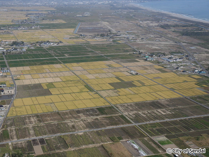 画像：営農が再開され、ほ場整備された東部農業地域