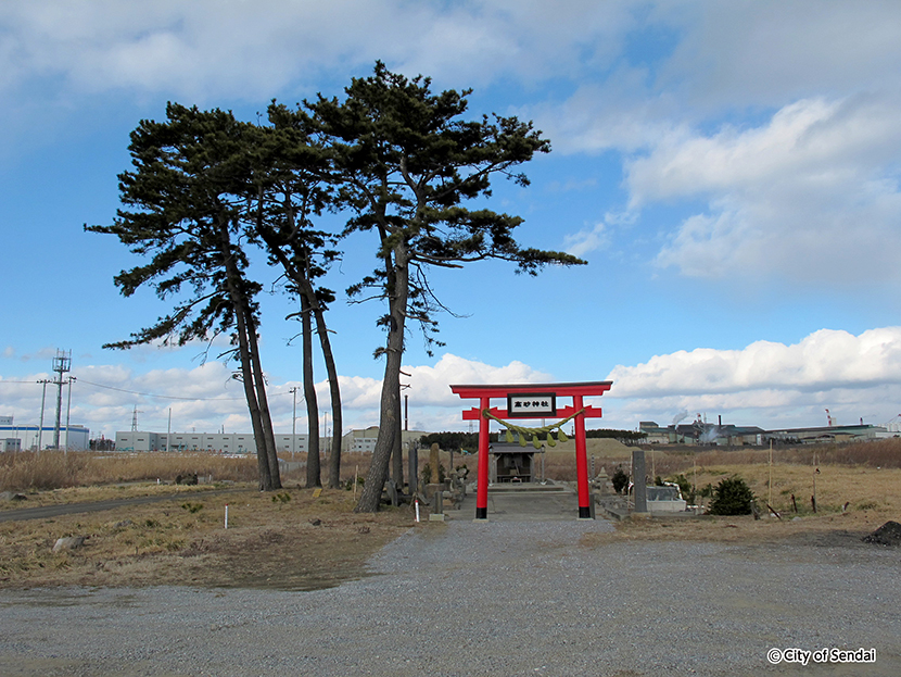 写真：震災後5年を経た高砂神社の現況