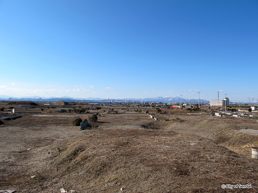 写真：震災後5年を経た荒浜地区の現況