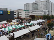 区民まつり会場の全景