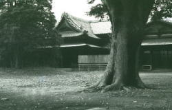 昭和46年の伊達家別邸を写した写真