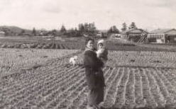 昭和38年に大和町で撮影した写真