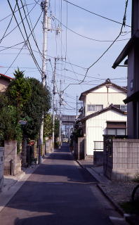 八軒小路の写真