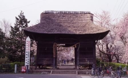 陸奥国分寺薬師堂・仁王門（茅葺）の写真