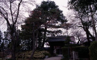 徳照寺の概観写真