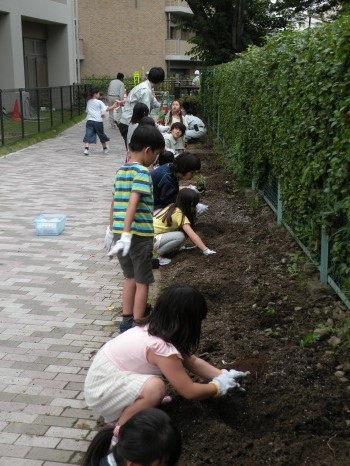植物を植える作業中の子どもたちの写真