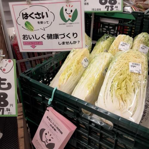 モリヤ白菜売り場の写真