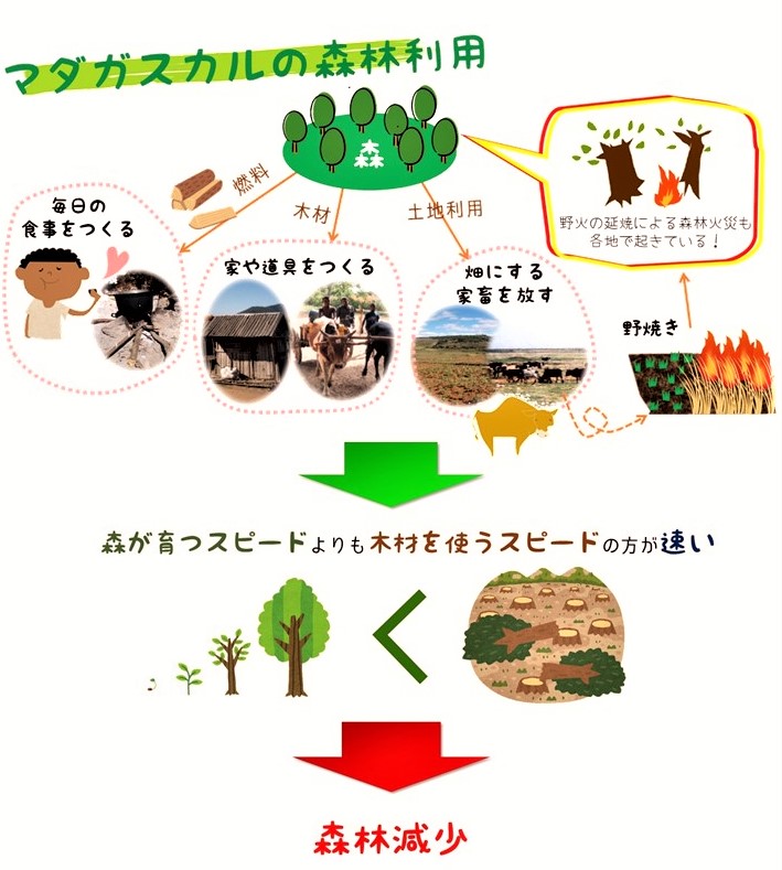 当園のマダガスカル関連事業について6